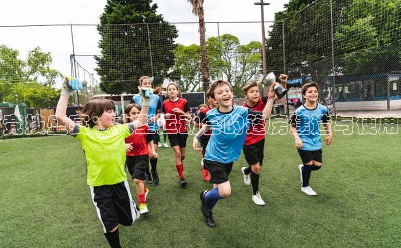 BB贝博体彩平台登录入口百度教育竞技盛宴：大型运动会的篷房建造与使用