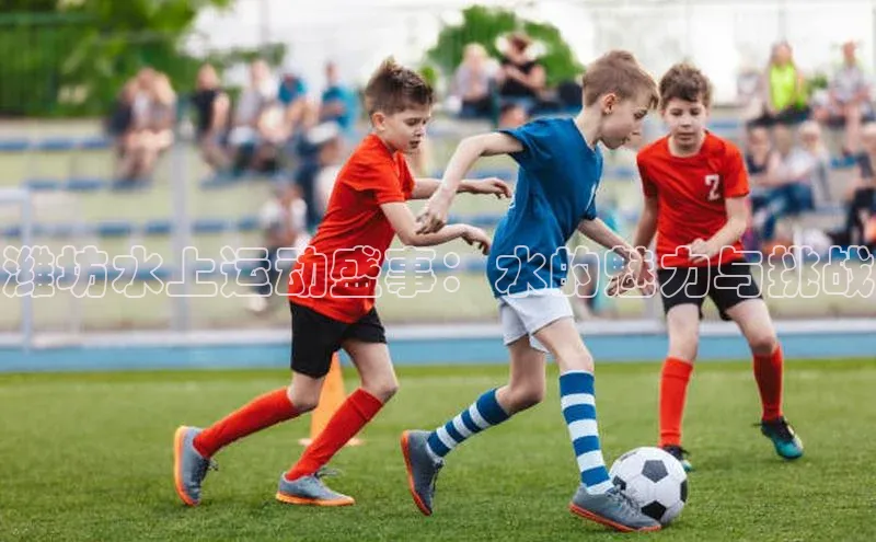 潍坊水上运动盛事：水的魅力与挑战