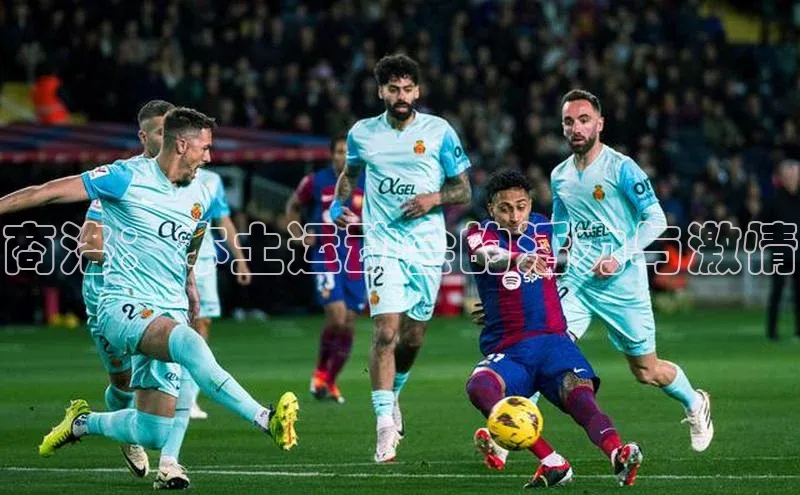 商洛：本土运动会的活力与激情