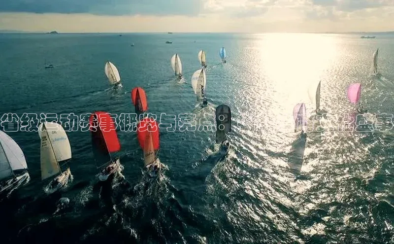 省级运动赛事概览与亮点：省级体育文化盛事