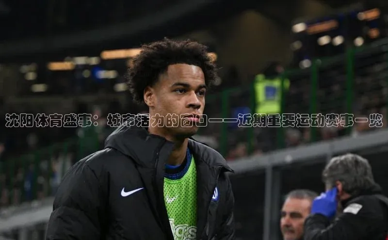 沈阳体育盛事：城市活力的窗口——近期重要运动赛事一览