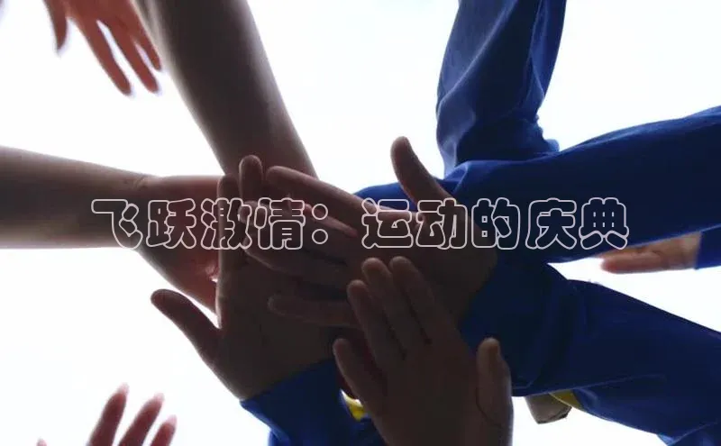 飞跃激情：运动的庆典