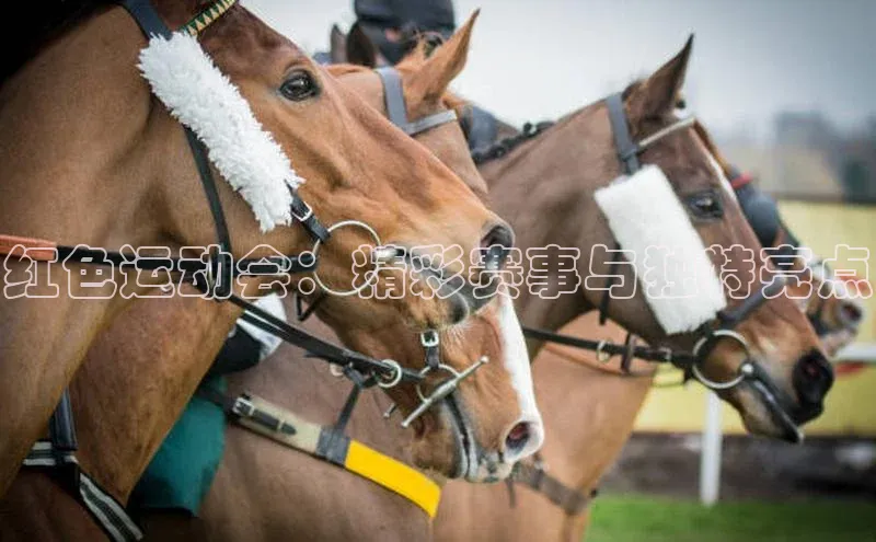 红色运动会：精彩赛事与独特亮点