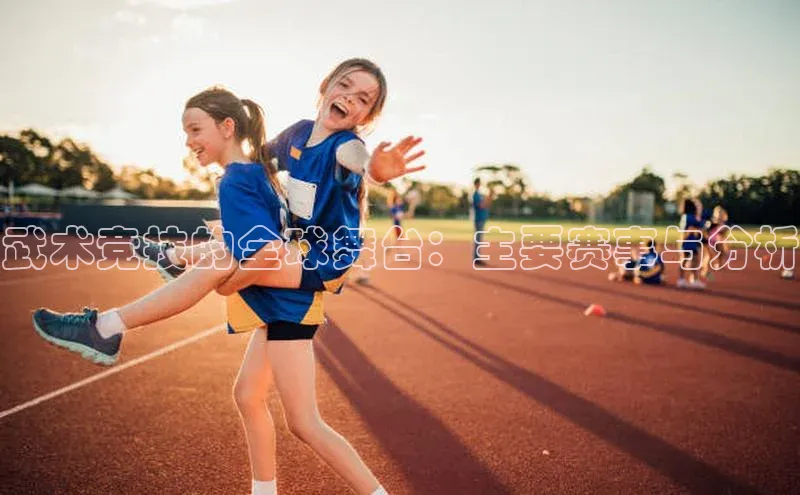 武术竞技的全球舞台：主要赛事与分析