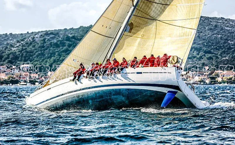 荣耀赛场：运动之王的非凡之路