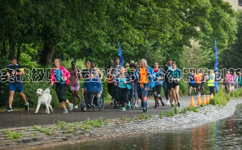 贝博平台网站谁知道