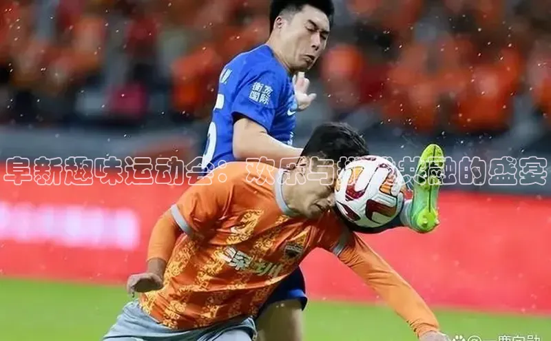 贝博平台网站谁知道