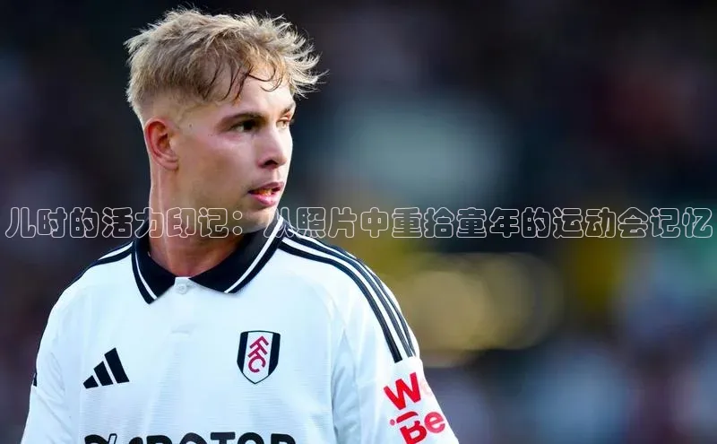 贝博APP体育网页