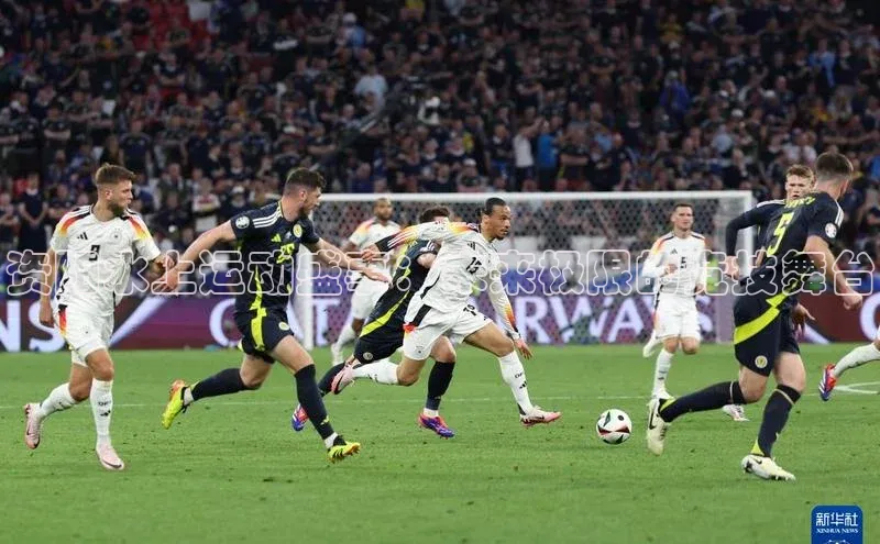 资阳水上运动盛事：未来极限的竞技舞台